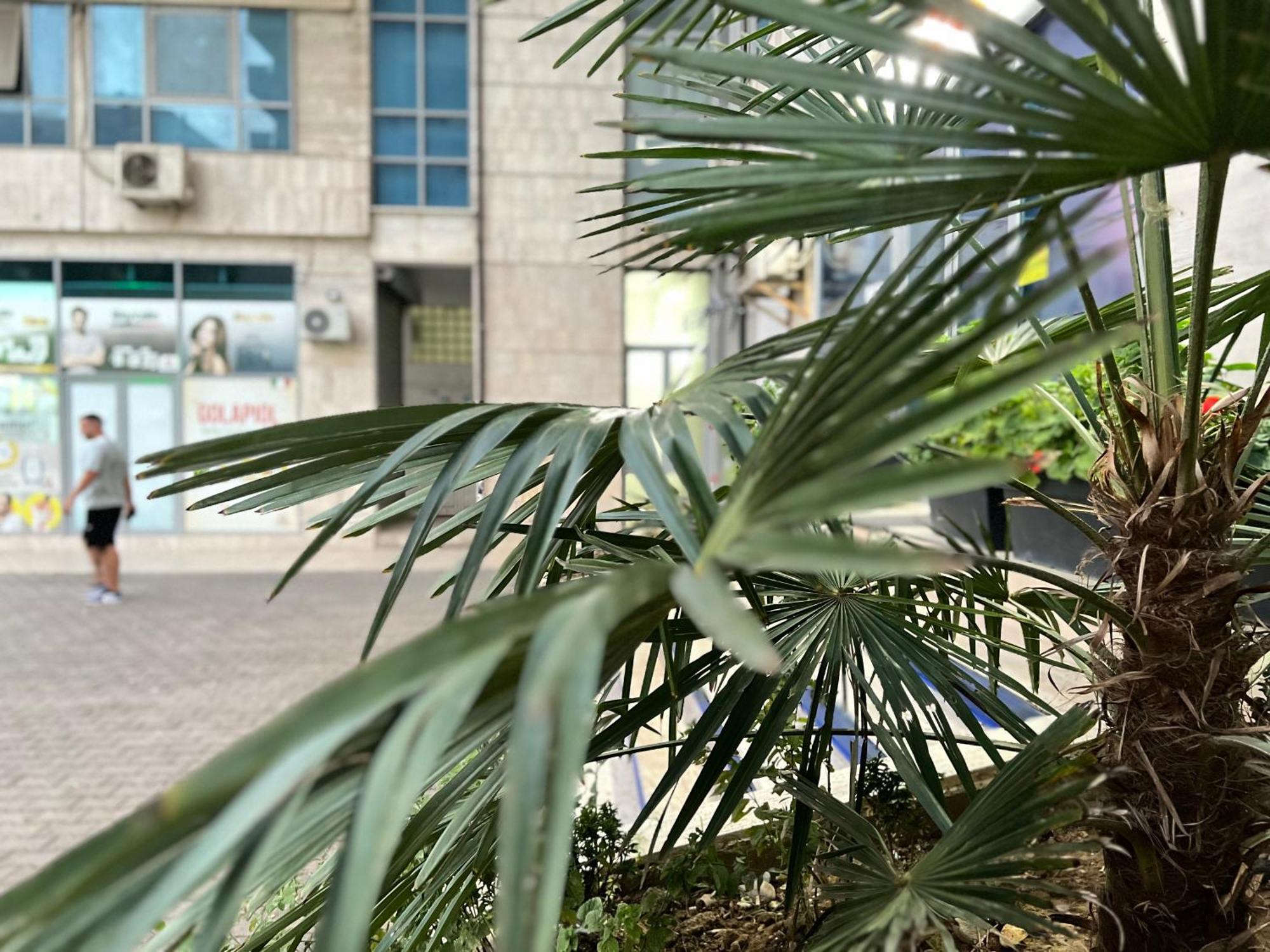 New Baazar Terrace Apartment Tirana Exterior photo